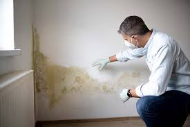 Best Comprehensive Air Testing for Mold Contaminants  in North Lakeport, CA